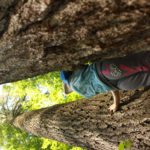 Nature Measures The Passage Of Time Differently Than Humans